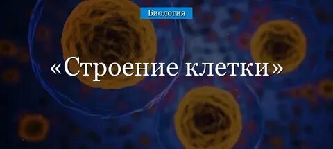 Биология 8 класс клетка и виды клеток