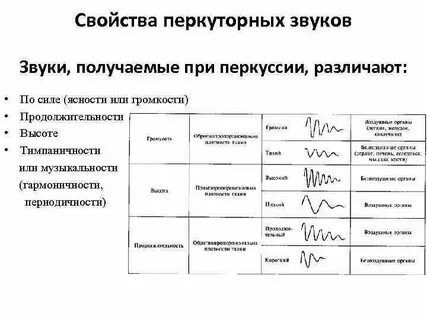 Перкуторный звук