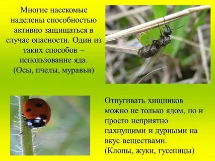 Наделить способностью
