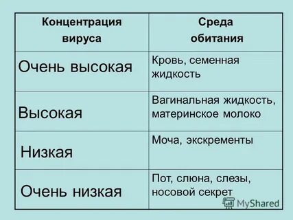 Среда вирусов