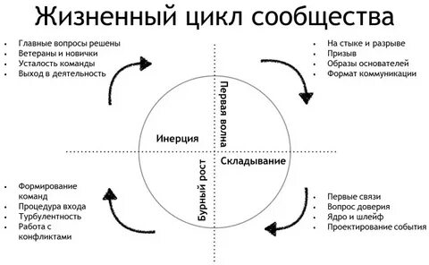 12 жизненных циклов
