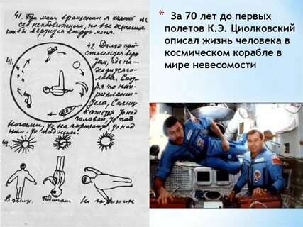 Всю жизнь описать их