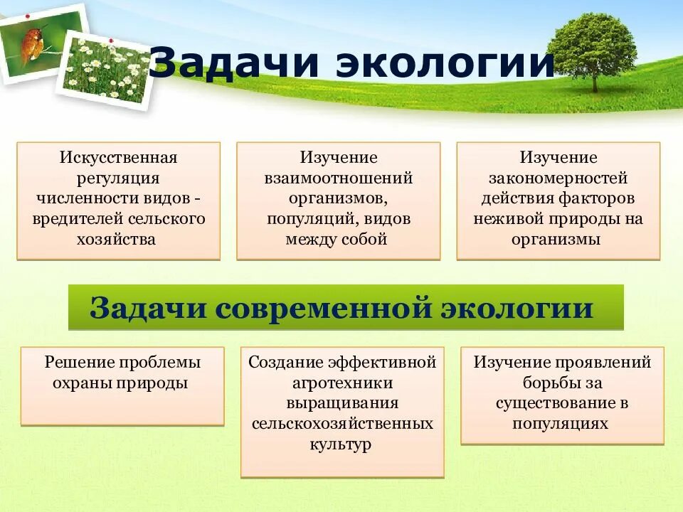 11 задач экологии. Задачи экологии. практические задачи экологии. экология задачи экологии. экология презентация.