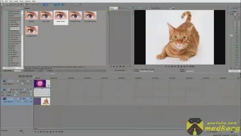 Как сделать фон в вегасе