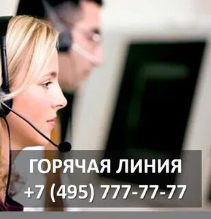Телефон горячей линии мэрии