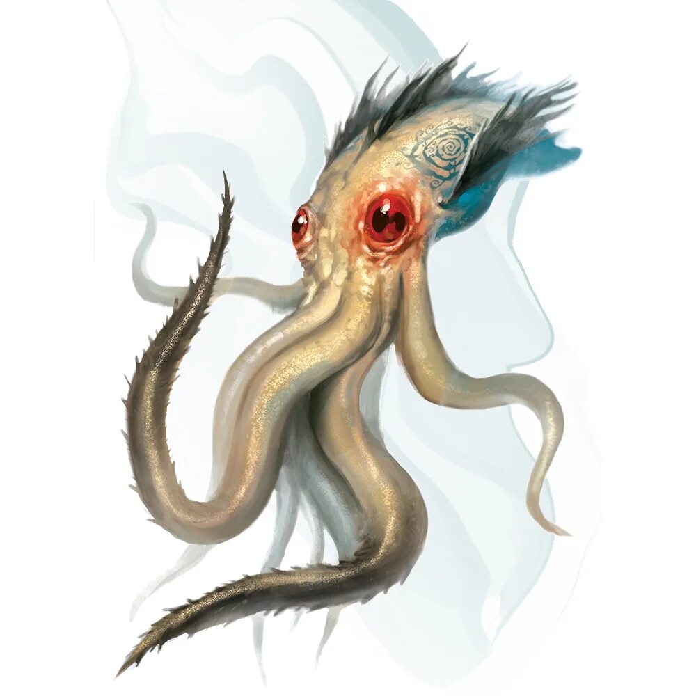 Squid 5. Squid 5