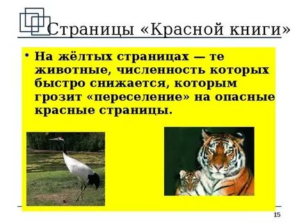 Красная книга желтые страницы животные