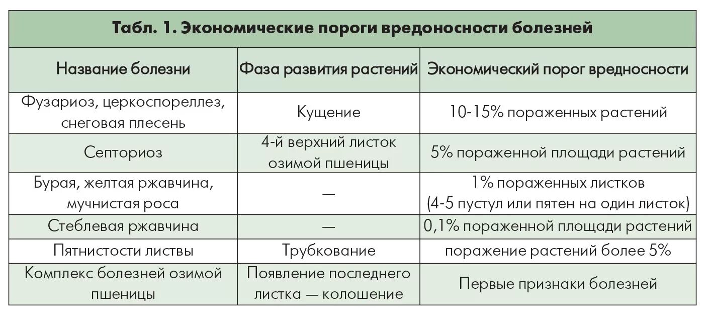 Признаки фитотоксичности серосодержащих фунгицидов