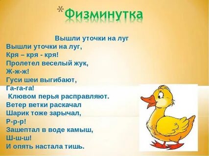 Утка какое слово