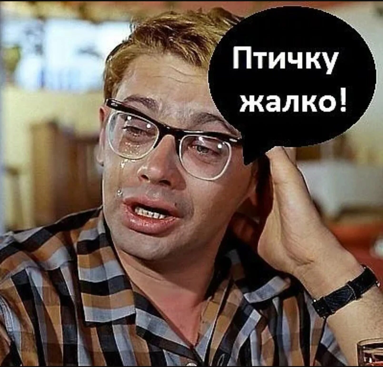 Жалкий человечишка. Шурик кавказская пленница птичку жалко. Птичку жалко. Шурик птичку жалко. Птичку жалко.