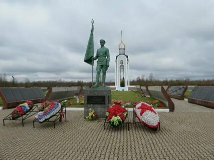Мясной бор новгородская