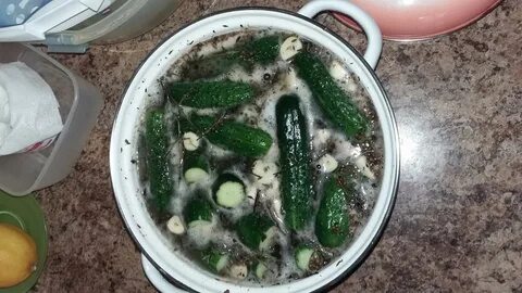 Соленые огурцы плесень можно ли есть