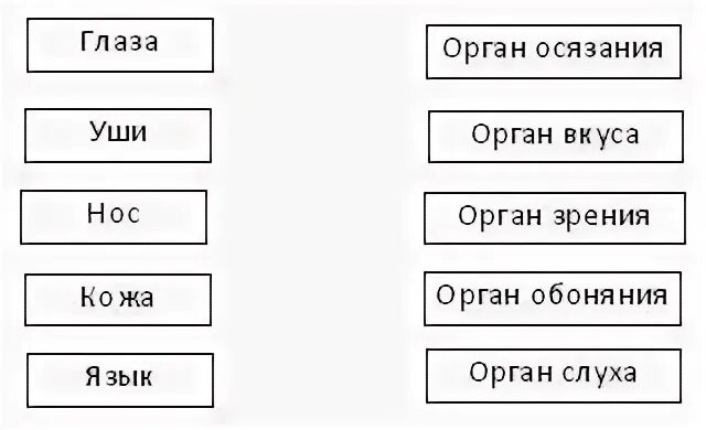 В какой строчке указаны только органы человека