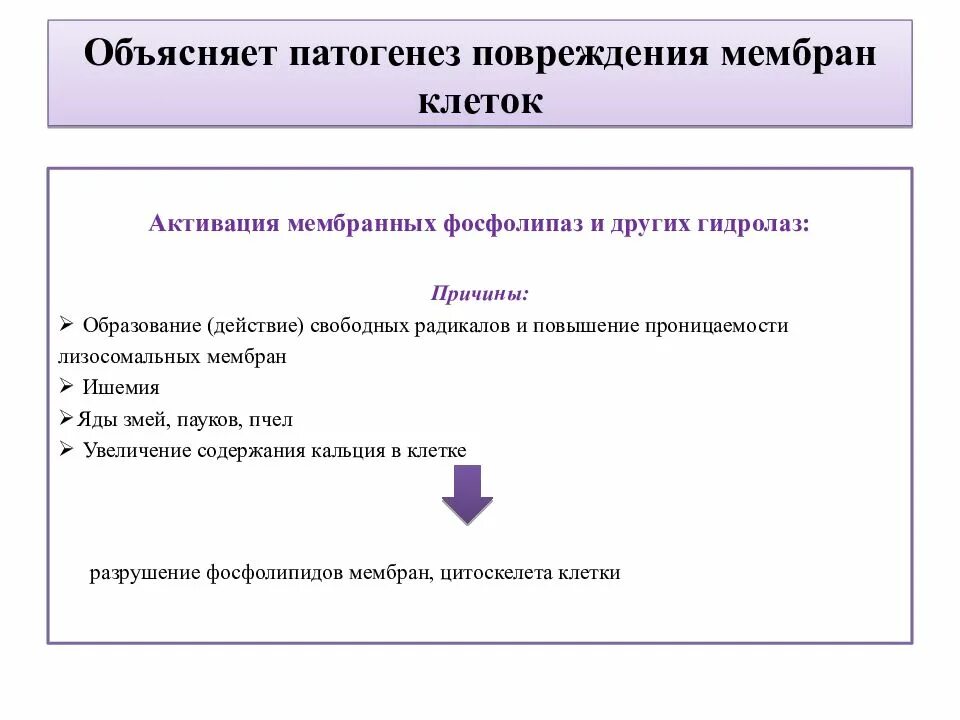 Патогенез повреждения. Патогенез повреждения мембран. Патогенез повреждения клетки. Причины повреждения мембран клетки. Патогенезе поврежденной клетки.