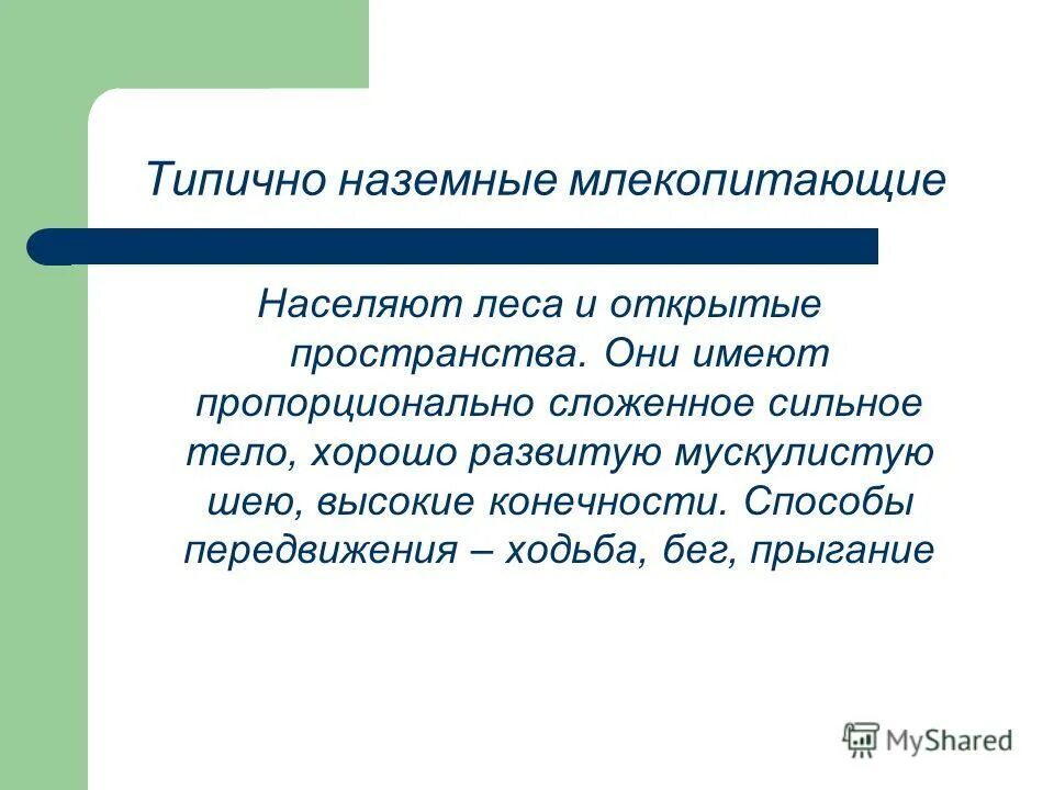Вывод об особенностях строения млекопитающих. Вывод об особенностях строения млекопитающих