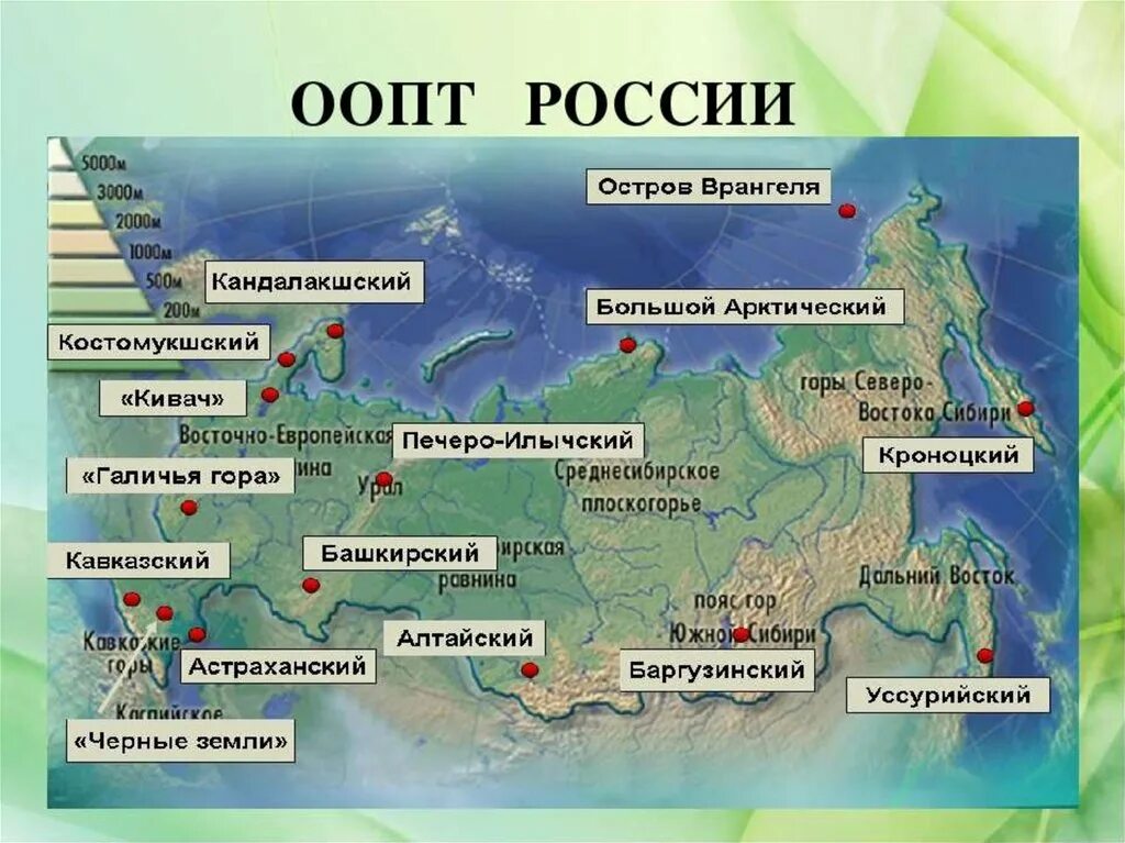 Как называется охраняемая природная территория