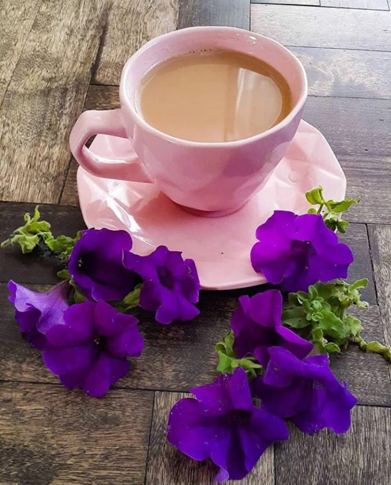 Картинка доброе утро с кофе и цветами. Кофе и цветы. Цветы и кофе с добрым утром. Цветы в чашке. Красивые цветы в чашке.