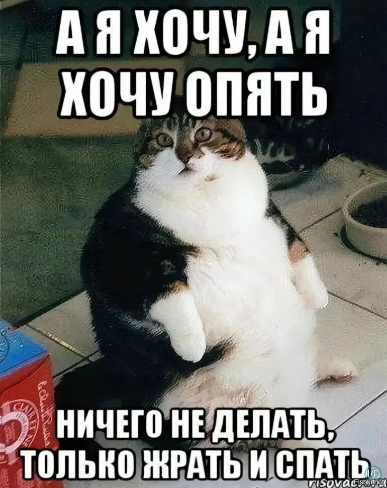 Нечего бывает