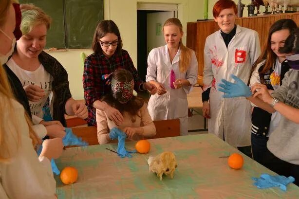 Ветеринар учебное заведение. Ветеринарный колледж скрябина. Колледж на ветеринара после 9. Аграрный колледж томск ветеринария. Колледж на ветеринара после 9.