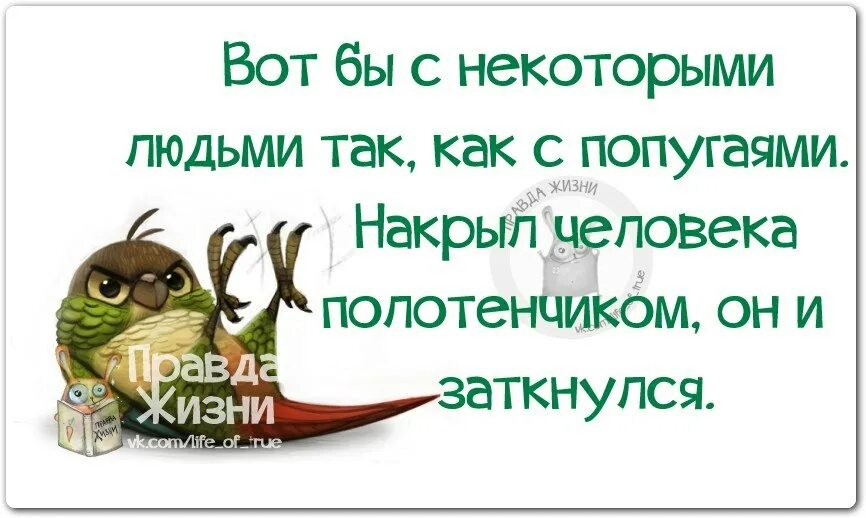 Как укрыть человека по фактам. Правда жизни цитаты. Сарказм правда жизни. Урытт человека словами. Фразочки чтобы укрыть.