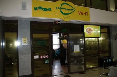 Подорожник кемерово
