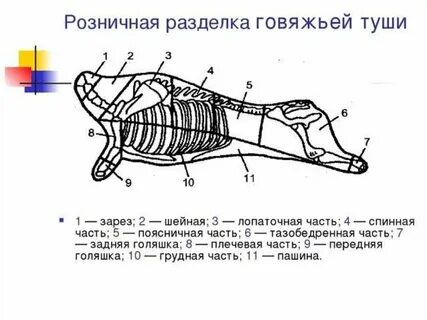 Туше это