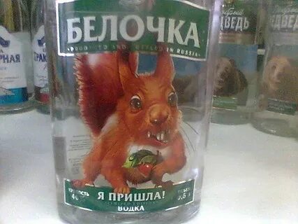 Почему приходи белочка