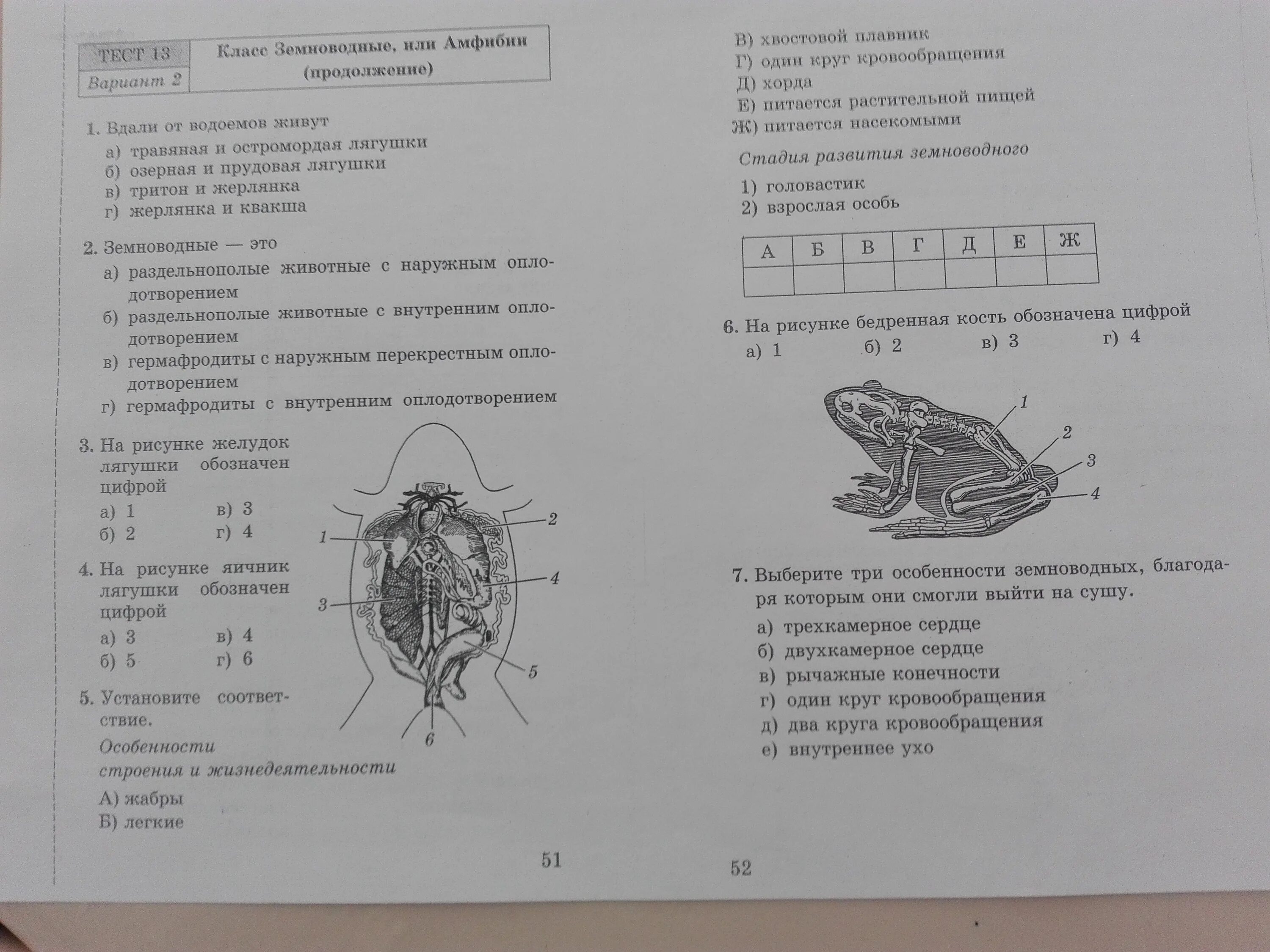 Тесты по биологии 7 класс с ответами. Тесты по биологии 7 класс Пасечник. Тесты по биологии 8 класс с ответами Пасечник. Тест по амфибиям и пресмыкающимся биология 8 класс. Контрольная по биологии шестой класс