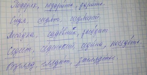 Дарить проверочное слово