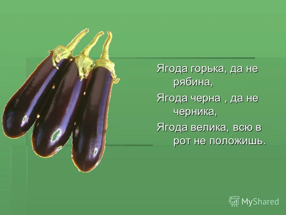 Горькие ягодки вайз читать. Горькие ягодки вайз читать