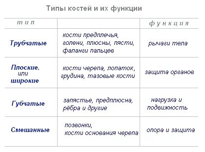 Таблица по биологии виды костей