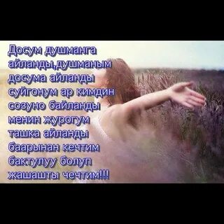 Бир досум
