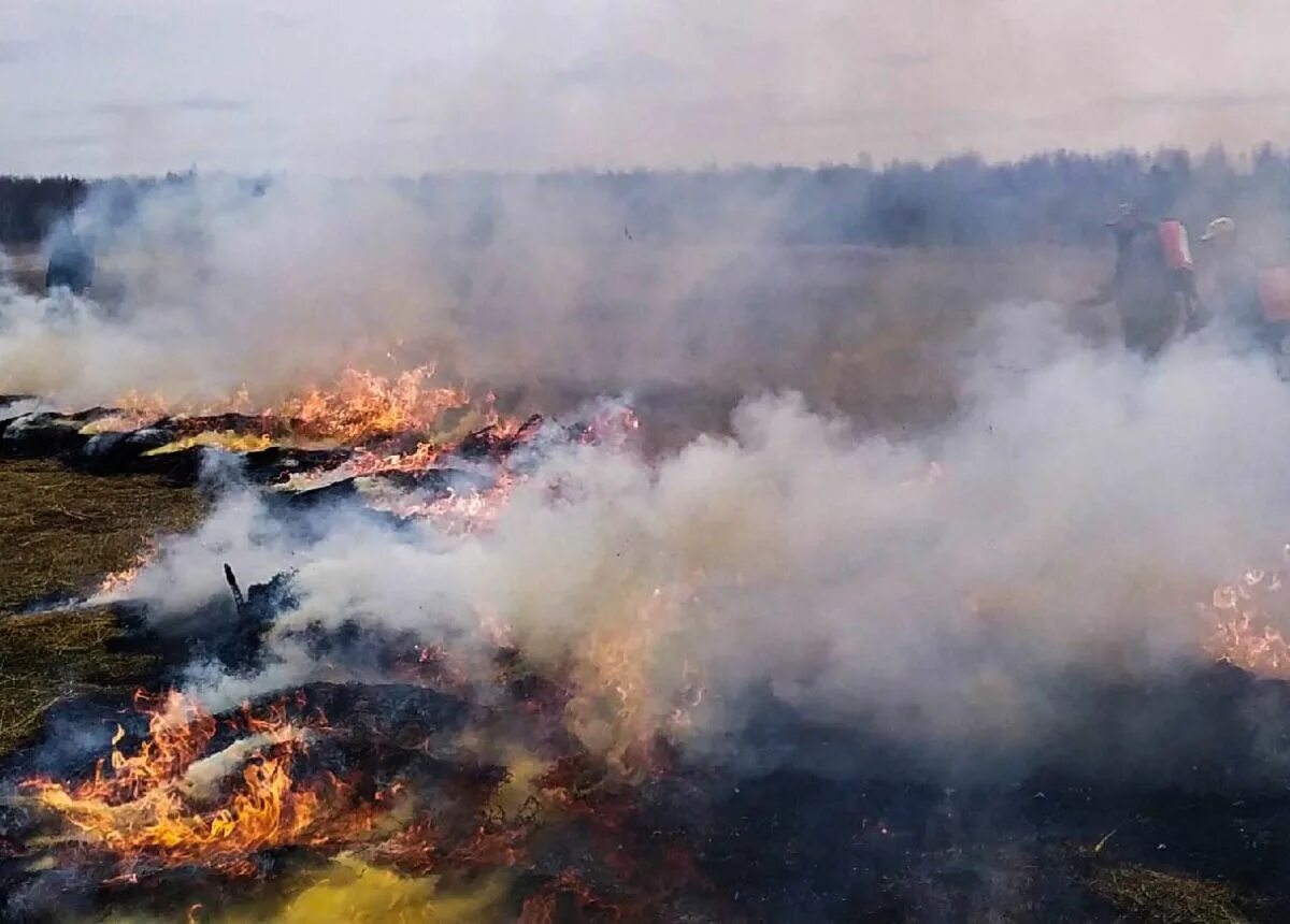 Высочайший пожар. 4 класс пожароопасности. Огонь пожар. Высочайший пожар. Чрезвычайная пожароопасность.