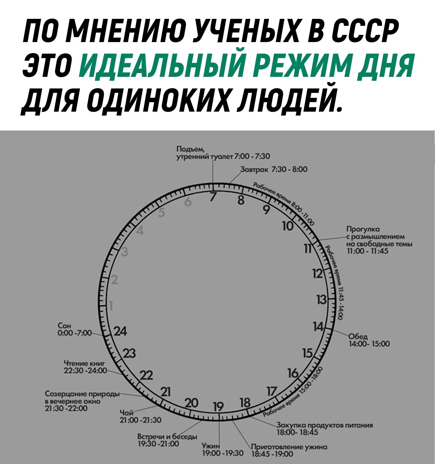 Режим дня одинокого человека. Расписание дня учёный. Распорядок дня ученого в СССР. Режим дня советского человека. Идеальный рабочий день