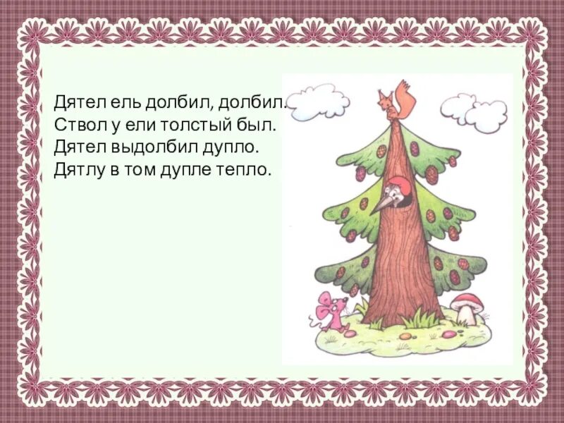 Азбука 1 класс осина сосна. Предложение с ели ели. Предложение с ели ели. Ель обыкновенная хвоинки особенности. Описание хвойных деревьев.