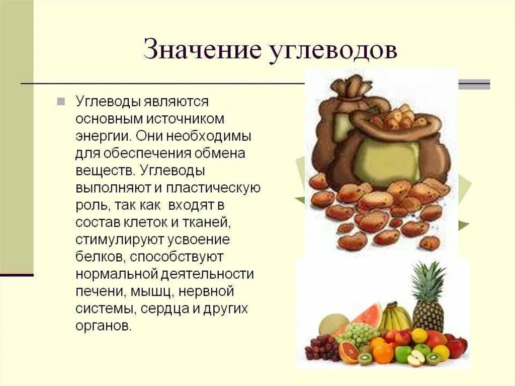 Роль белков пища. Значение углеводов в организме. Роль углеводов в питании. Углеводы в организме человека. Углеводы и их роль в жизни человека.