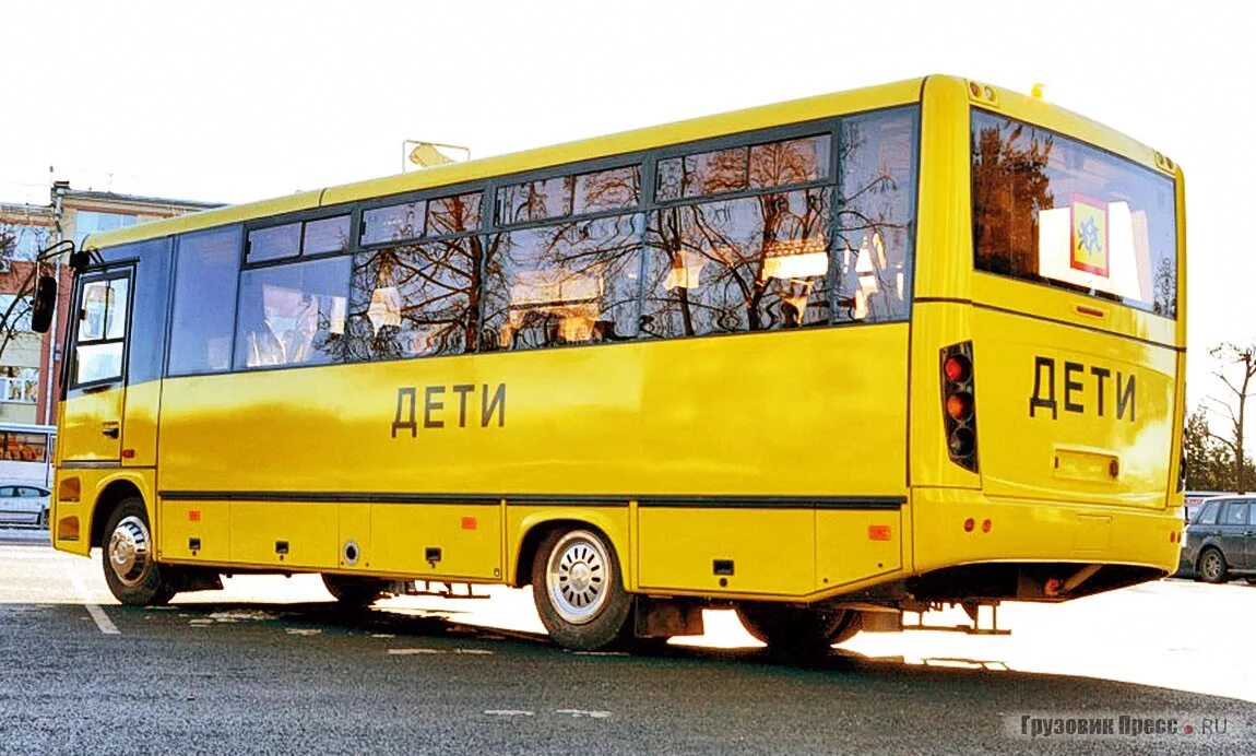 Специализированные автобусы для перевозки детей. Специализированные автобусы для перевозки детей