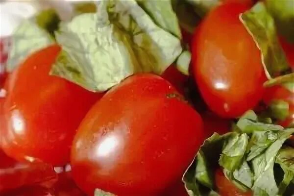 Соленые помидоры по армянски