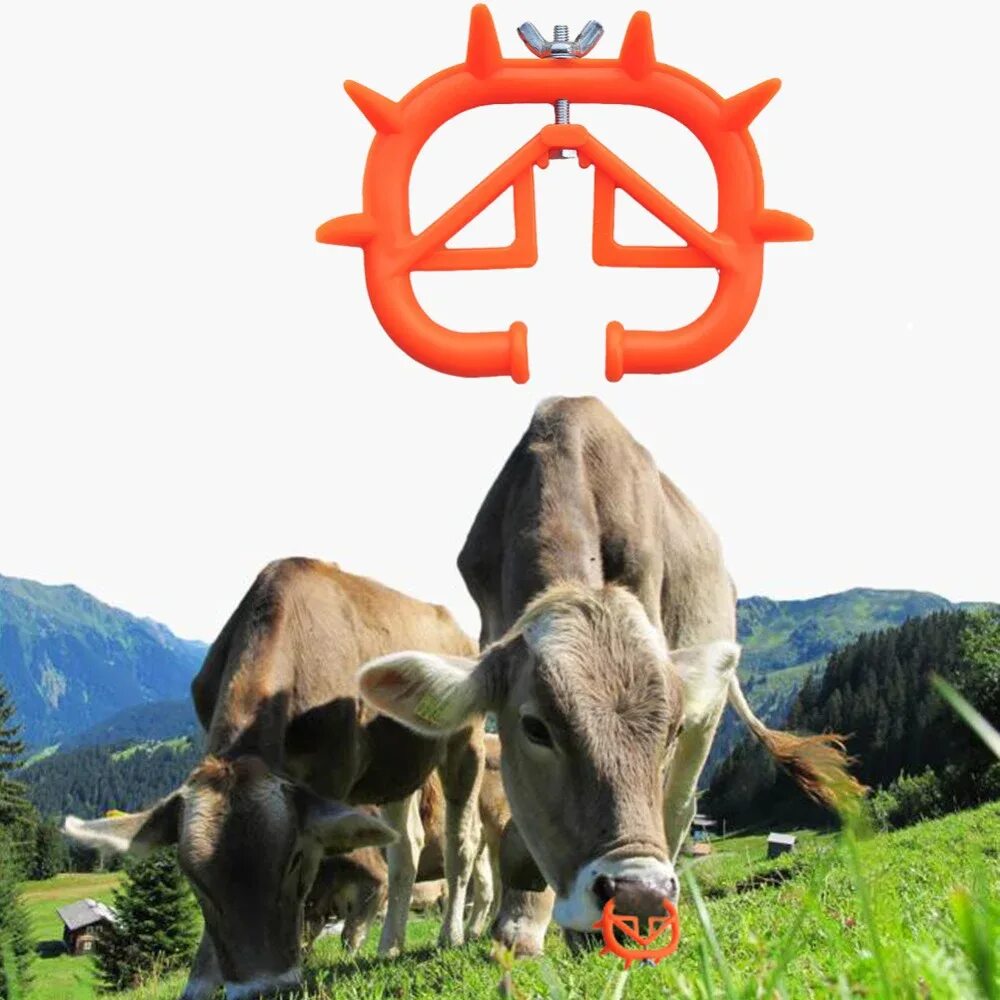 Приспособление для телят против самовыдаивания. Либерти уфа. Кольцо носовое против самовыдаивания что это. Антисосальное кольцо для телят. Кольцо для самовыдаивания.