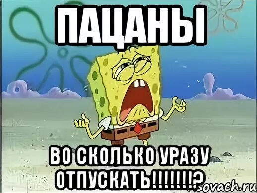 Во сколько нужно отпускать уразу. Когда можно отпускать уразу сегодня. Когда отпускать уразу. Когда можно отпускать уразу. Во сколько отпускать уразу сегодня.