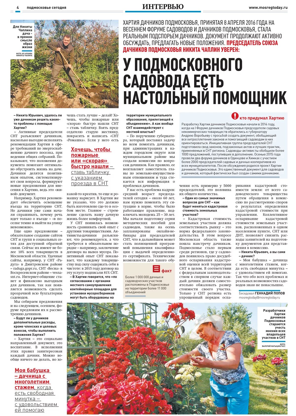 огород дачника подмосковья. дача в подмосковье. продажа сада в снт метрополитеновец. газета дачники подмосковья. какие есть яблони.