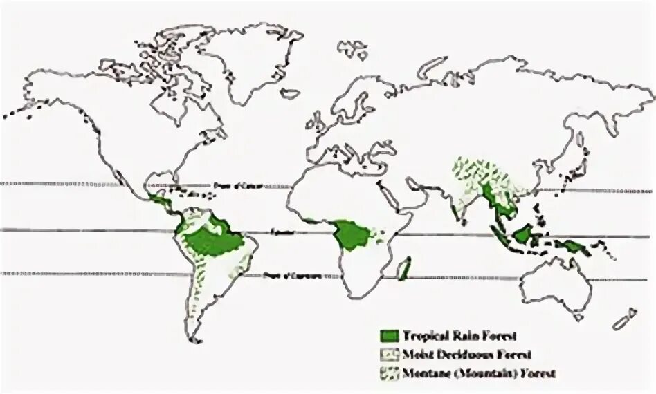 Экваториальные леса на карте. Экваториальные леса на карте. Влажный экваториальный лес на карте. Влажные леса на карте. Влажные леса на карте.