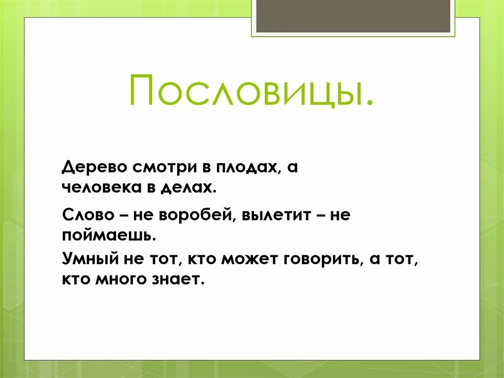 Пословица дерево в плодах. Поговорки про деревья. Пословицы о деревьях 3 класс. Пословицы и поговорки о деревьях. Пословица про дерево и человека.