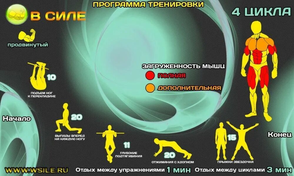 Программа тренировок упражнения. Программа тренировок. программа тренировок на силу. тренировки для начинающих. круговая тренировка на силу.