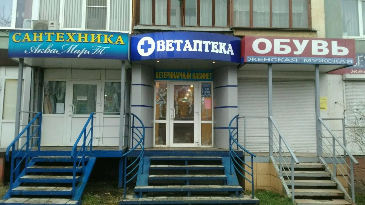 седова 16 тула ветклиника. ветеринарка тульская. болдина 70 ветклиника. ветеринарка тульская. седова 16а тула стоматология.