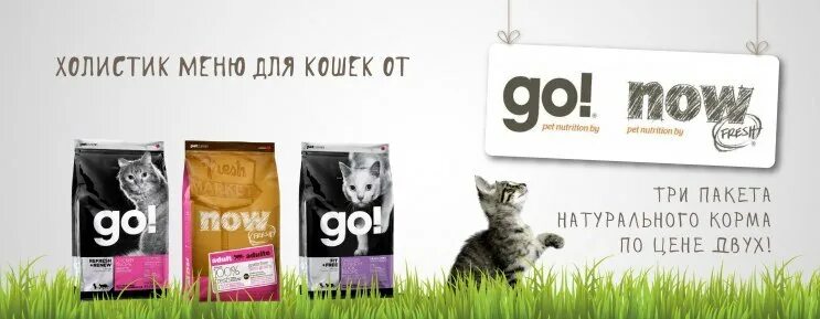 Go kitchen корм для кошек. Баннер кошачьего корма. Рекламный баннер кошачьего корма. Go! Корма баннер. Now and go корм.