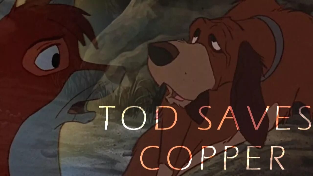 The fox and the bear. The Fox and the Bear 4 класс. Bear the Fox and the Hound. The Hound and the Fox Певцы. Тод и Коппер любовь люди.