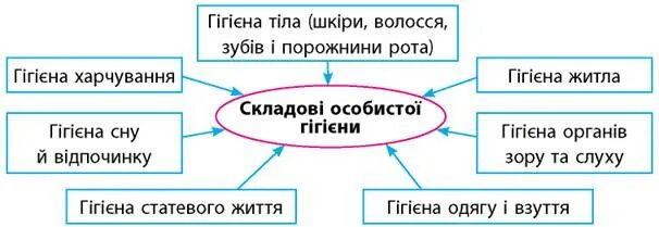 Таблица правил личной гигиены. Что относится к личной гигиене. Перечислите гигиенические правила. Составляющие гигиены. Структура личной гигиены.