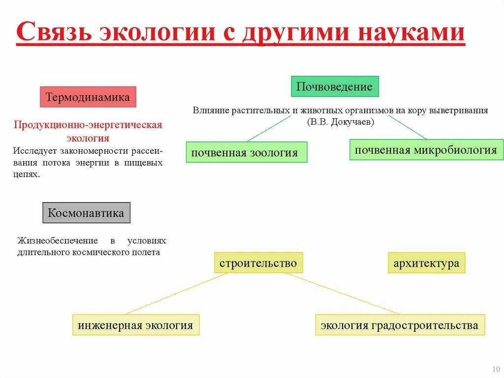 Виды связей в экологии. С какими науками связана экология. Связь экологии с другими науками. Взаимосвязь экологии с другими науками. Экология и другие науки.