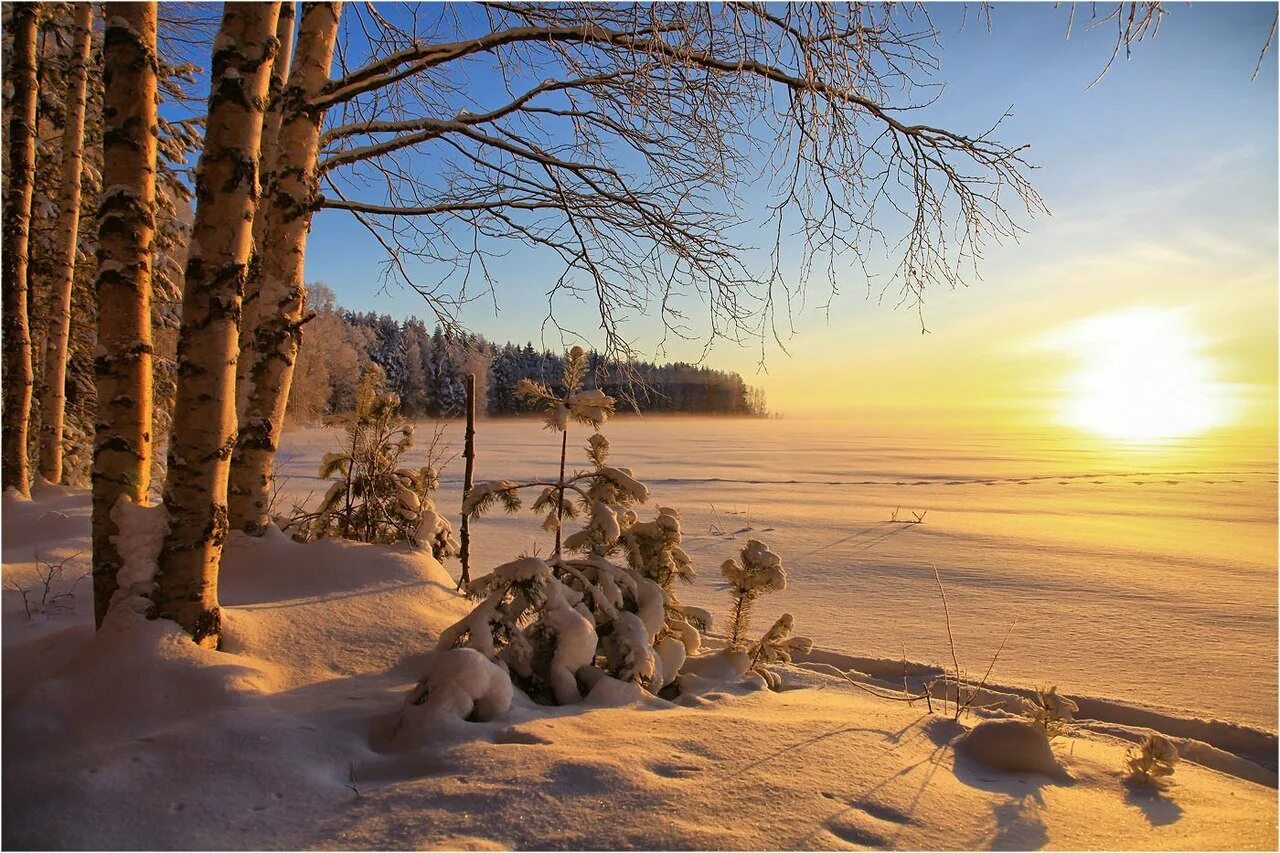 Солнечный день январь. Зимнее утро. Солнечное зимнее утро. Утро зима. Солнечный зимний день.